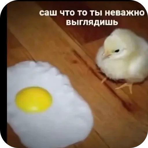 🐦 Стикер «Лунька» для Telegram