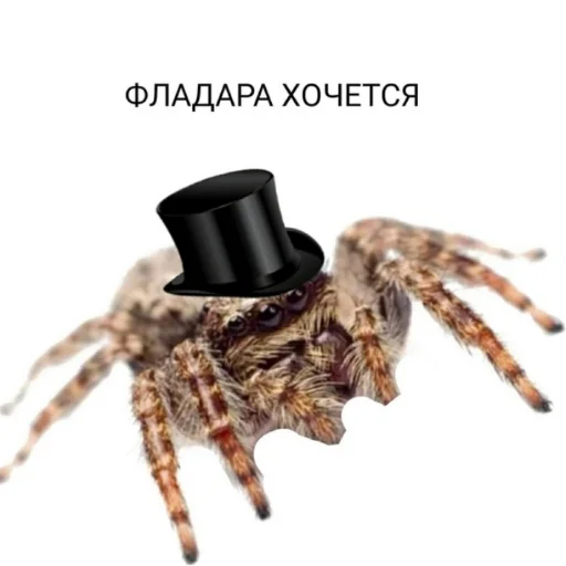 ☢️ Стикер «Фладара хочется» для Telegram