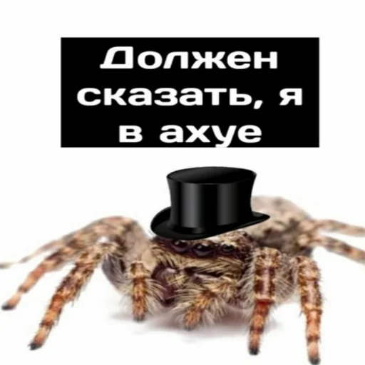 ☢️ Стикер «Фладара хочется» для Telegram