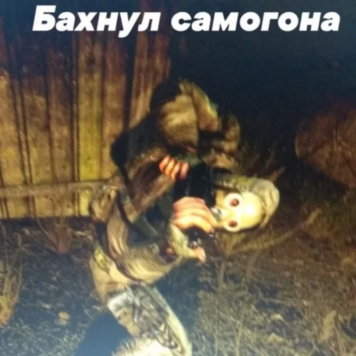 ☢️ Стикер «Фладара хочется» для Telegram