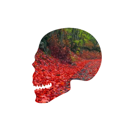 💀 Стикер «Черепа и АРТ» для Telegram