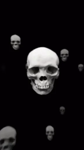 💀 Стикер «Skulls» для Telegram