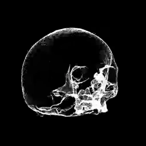 💀 Стикер «Skulls» для Telegram