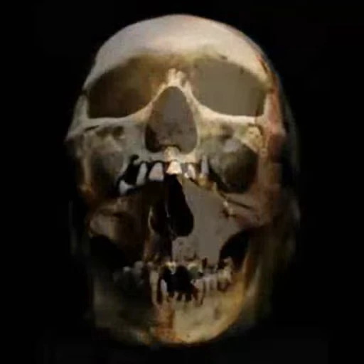 💀 Стикер «Skulls» для Telegram
