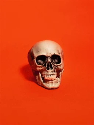 💀 Стикер «Skulls» для Telegram