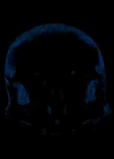 💀 Стикер «Skulls» для Telegram