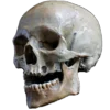 💀 Эмодзи «Skully Mood» для Telegram