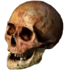 💀 Эмодзи «Skully Mood» для Telegram