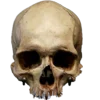 💀 Эмодзи «Skully Mood» для Telegram