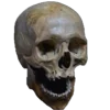 💀 Эмодзи «Skully Mood» для Telegram