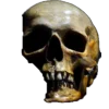 💀 Эмодзи «Skully Mood» для Telegram