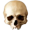 💀 Эмодзи «Skully Mood» для Telegram