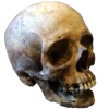💀 Эмодзи «Skully Mood» для Telegram