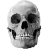 💀 Эмодзи «Skully Mood» для Telegram