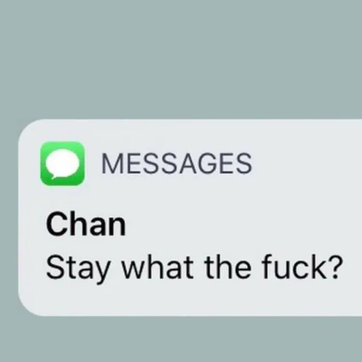 🤨 Стикер «skz meme» для Telegram
