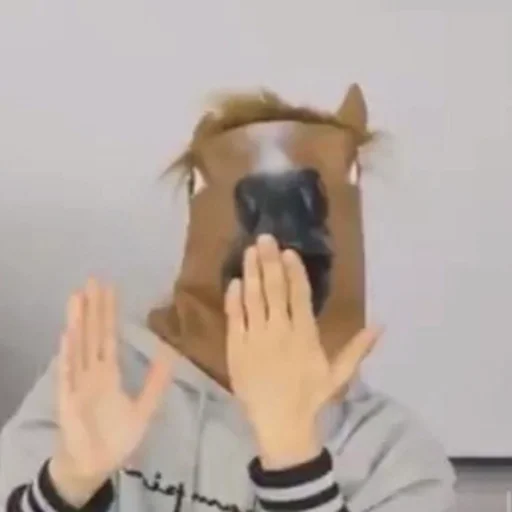 🐴 Стикер «skz meme» для Telegram