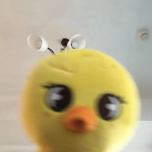 🐣 Стикер «skzoo» для Telegram