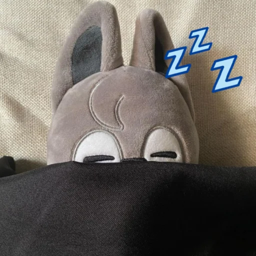 💤 Стикер «skzoo» для Telegram