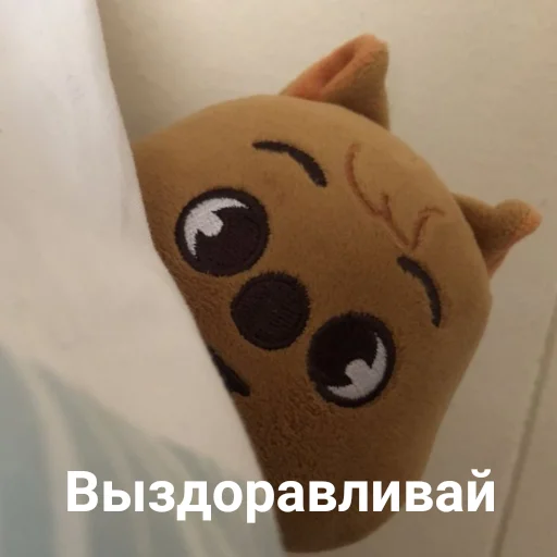 🤍 Стикер «skzoo» для Telegram