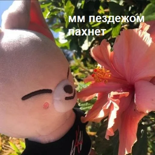 🥱 Стикер «скзуворлддоминейшен» для Telegram
