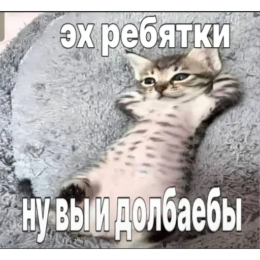 😌 Стикер «Сленг» для Telegram