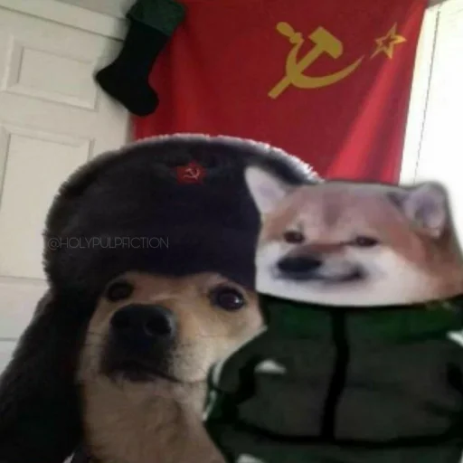 😐 Стикер «Slav Cheems» для Telegram