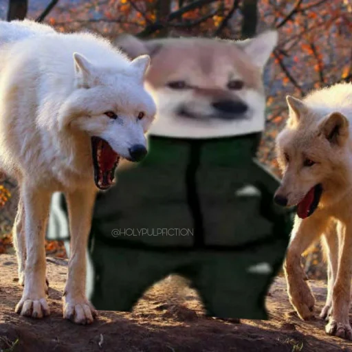 😐 Стикер «Slav Cheems» для Telegram