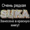 😻 Эмодзи «slay» для Telegram