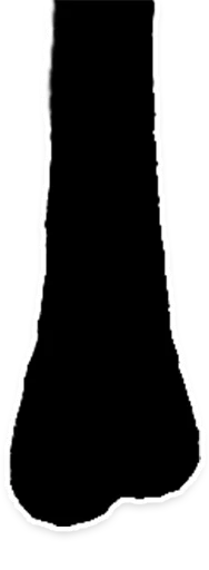 👃 Стикер «slidan.png» для Telegram