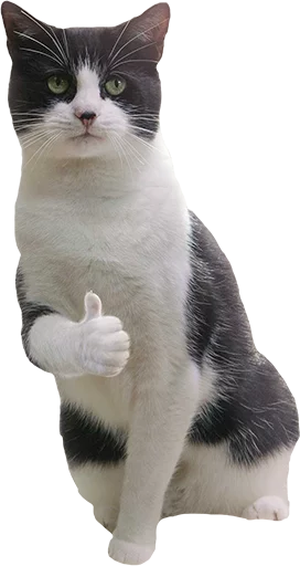 👍 Стикер «slidan.png» для Telegram