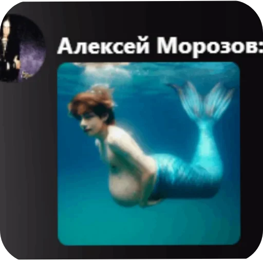 🤣 Стикер «автор. (Какого эта ху ня распр)» для Telegram