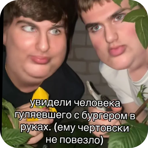 🖼 Стикер «автор. (Какого эта ху ня распр)» для Telegram