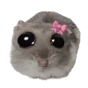Стикер 7 Hampter