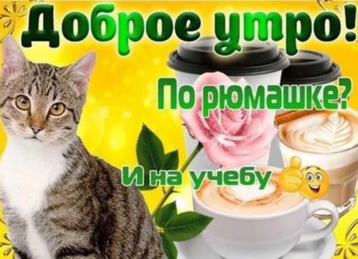 🤪 Стикер «My lovely стайл» для Telegram