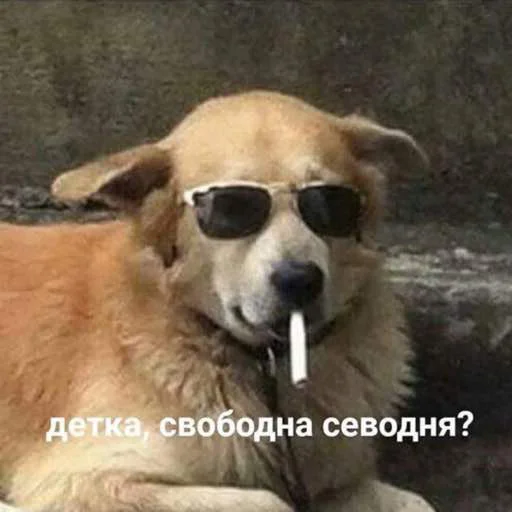 😼 Стикер «My lovely стайл» для Telegram