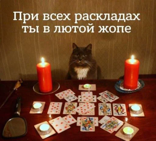 💩 Стикер «My lovely стайл» для Telegram
