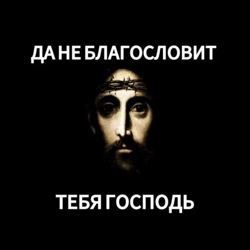 🤩 Стикер «Смешные картинки кохи» для Telegram