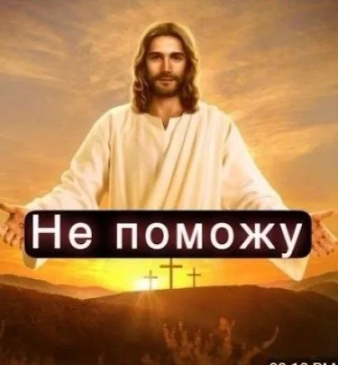🤩 Стикер «Смешные картинки кохи» для Telegram