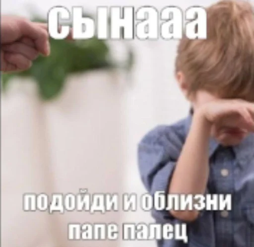 🤩 Стикер «Смешные картинки кохи» для Telegram