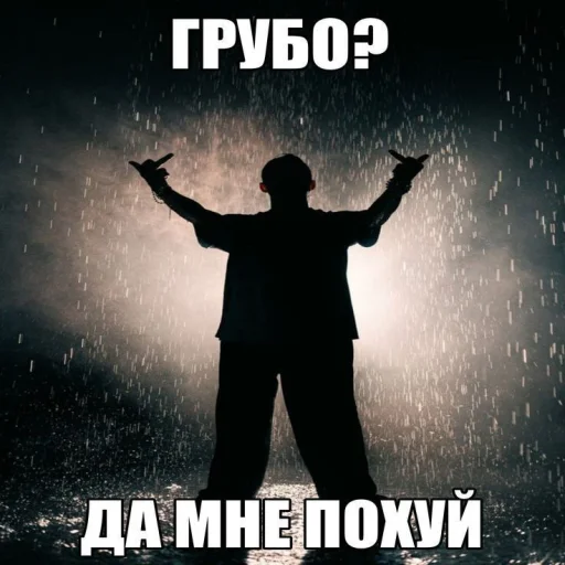 🤩 Стикер «Смешные картинки кохи» для Telegram