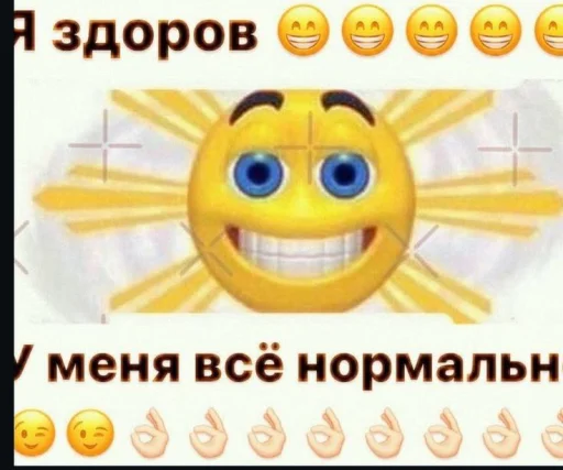 🤩 Стикер «Смешные картинки кохи» для Telegram