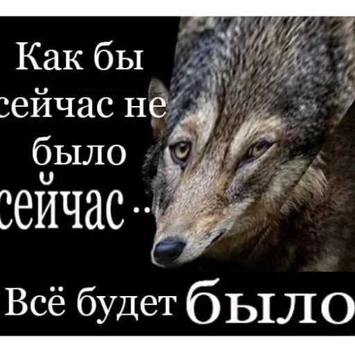 🐺 Стикер «смехуечки» для Telegram