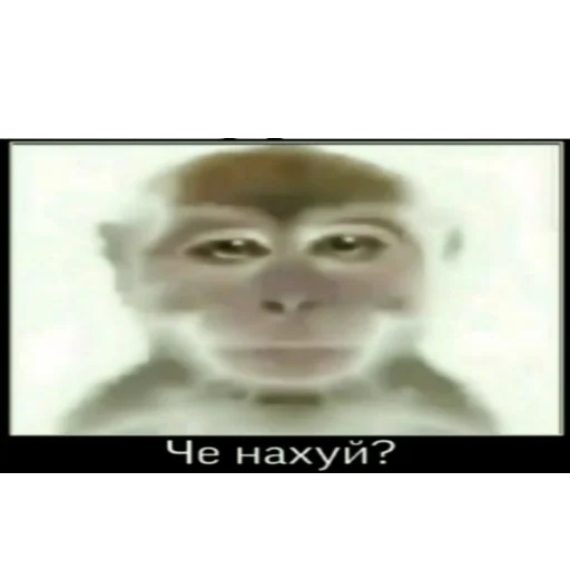 🐵 Стикер «смехуечки» для Telegram