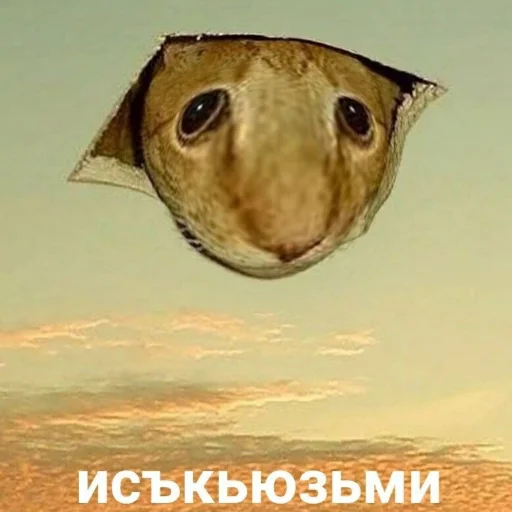 😀 Стикер «смехуечки» для Telegram