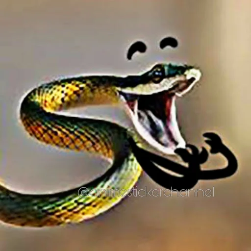 😆 Стикер «SNAKES» для Telegram