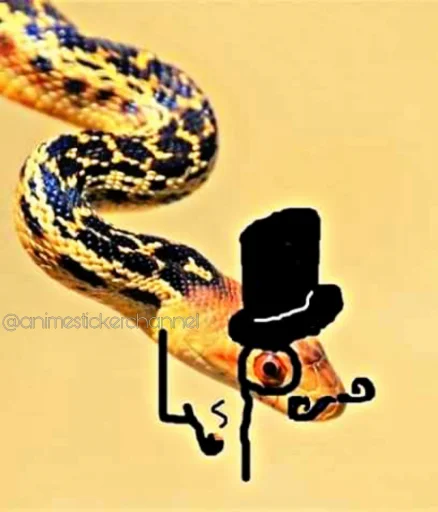 😎 Стикер «SNAKES» для Telegram