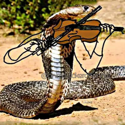 🎸 Стикер «SNAKES» для Telegram