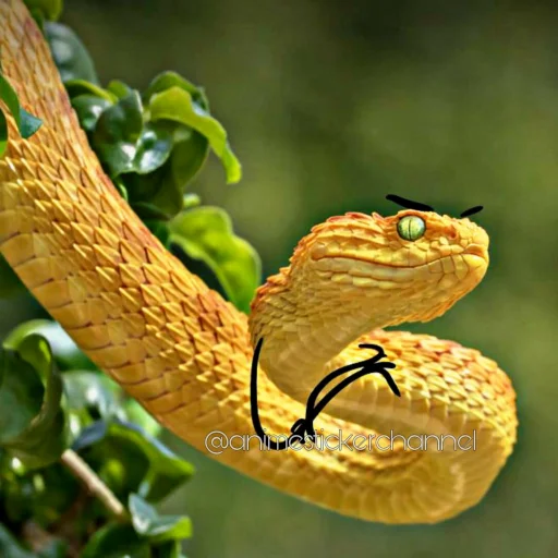 🙂 Стикер «SNAKES» для Telegram