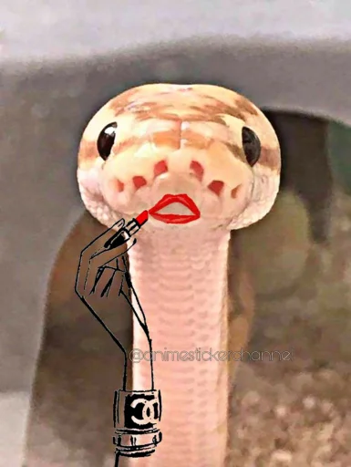 💋 Стикер «SNAKES» для Telegram