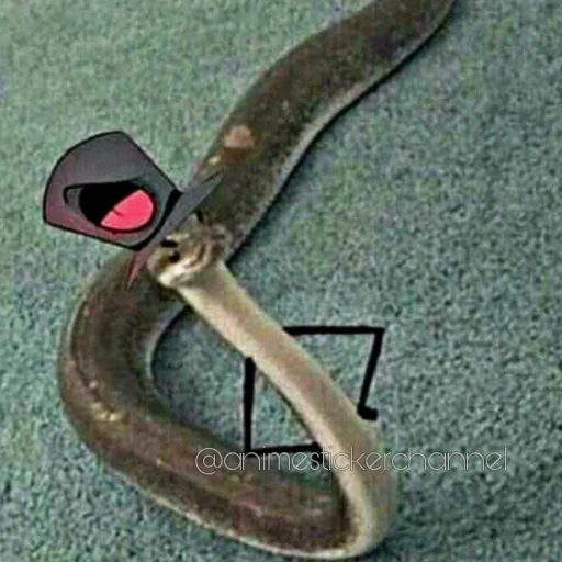 😎 Стикер «SNAKES» для Telegram